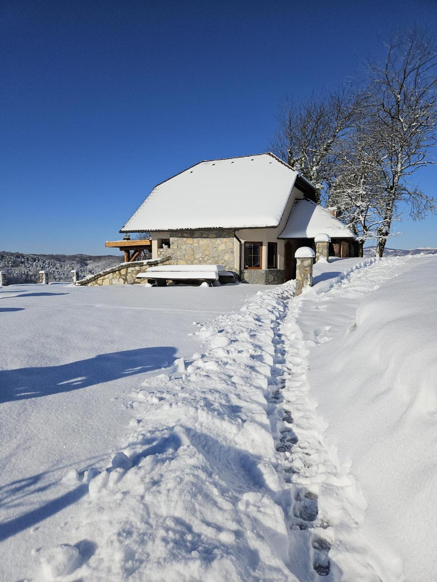 Zerko Holiday Home - Vineyard Chalet With Sauna And Jacuzzi Free Mirna Екстер'єр фото
