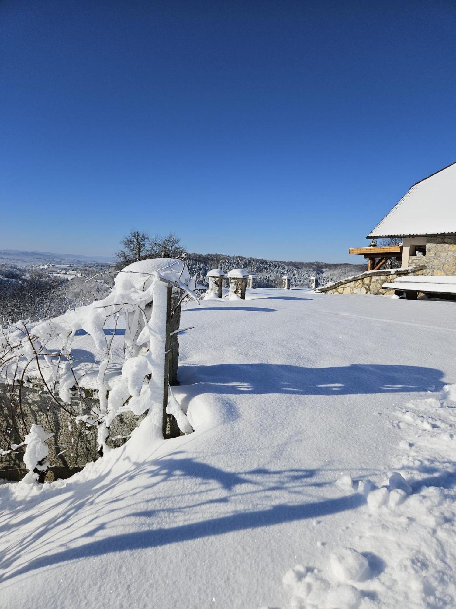 Zerko Holiday Home - Vineyard Chalet With Sauna And Jacuzzi Free Mirna Екстер'єр фото