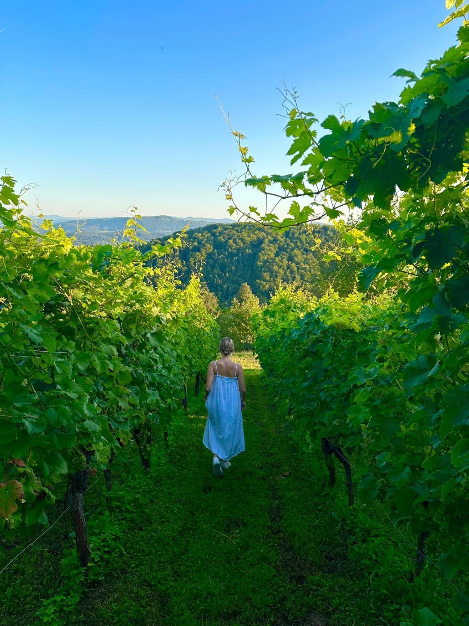 Zerko Holiday Home - Vineyard Chalet With Sauna And Jacuzzi Free Mirna Екстер'єр фото