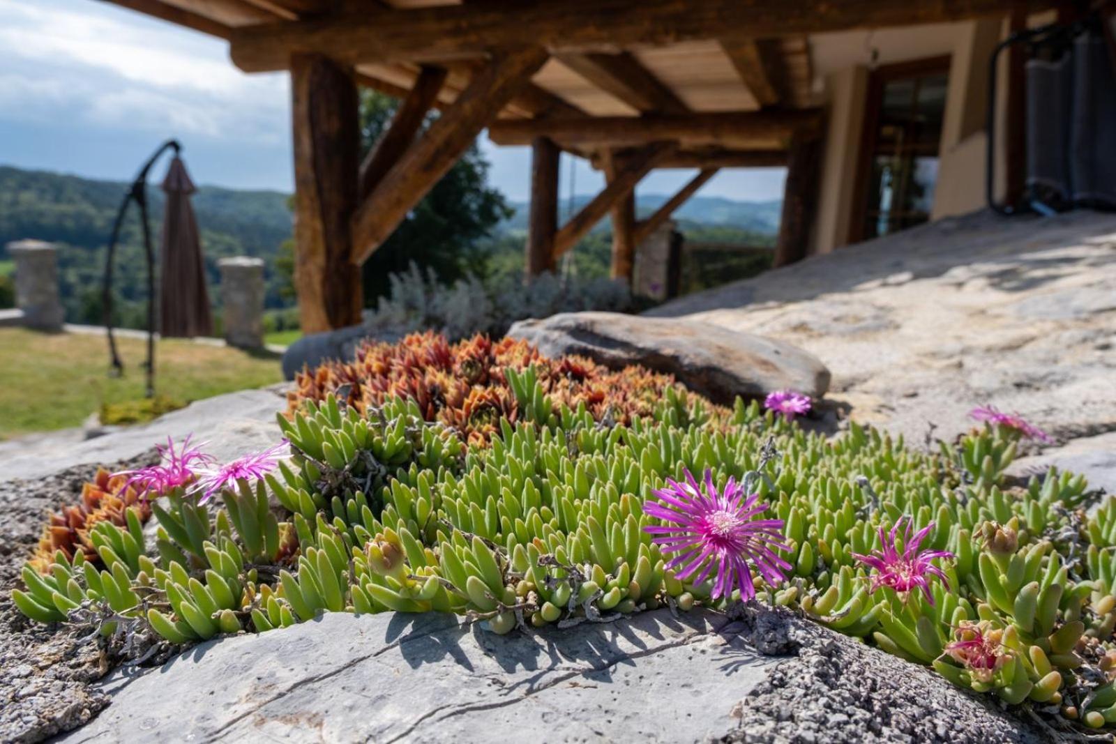 Zerko Holiday Home - Vineyard Chalet With Sauna And Jacuzzi Free Mirna Екстер'єр фото